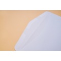 White Commercial Paper Envelope