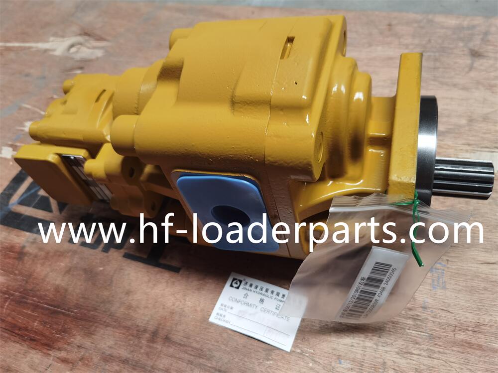 Hydraulic gear pump 4120008559 for SDLG 968F Hydraulic gear pump 4120008559 for SDLG 968F