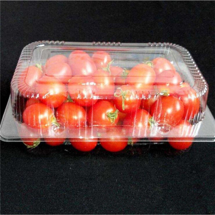 Fruit Clamshell Plastic Packing