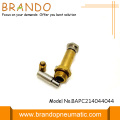 2/2 Way Brass Color Solenoid Stem Valve