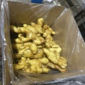 Super Quality Ginger to Europe Market