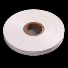 6020/6021 Polyester Mylar Plam для электрической изоляции