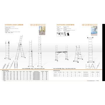 Escalera de Extensión y Escaleras de Andamio