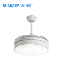 Electric fan chandelier imported simple ceiling fan