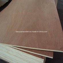 Poplar Okoume Bintangor Birch Chapado de madera contrachapada comercial