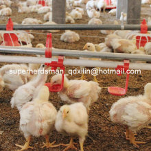 Hot Sale Full Set Poultry Equipment for Poultry Farming House