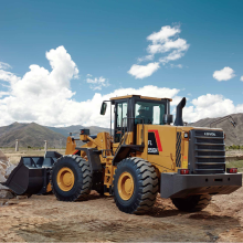 loaders wheel loader FL956H