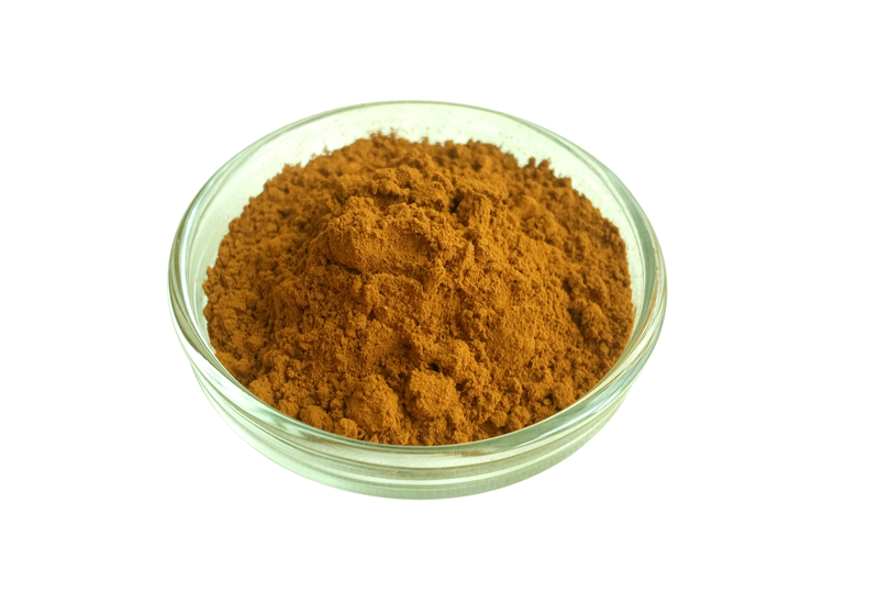 Cordyceps Militaris Extract