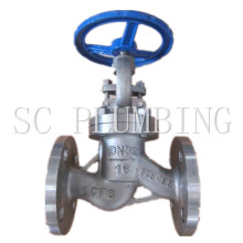 Flanged End Globe Valve (1/2"~12")