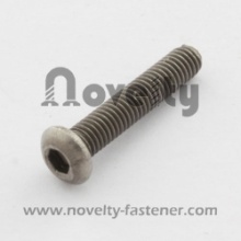 Pan Head Hex Socket Titanium Screw