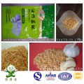 Oiled/Fried Garlic Granules Frist Hand From Own Factory