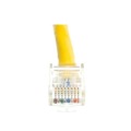 CAT6 UTP Patch Cable