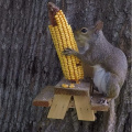 GIBBON ET-720729 Large Size Squirrel Picnic Table, Durable with Solid Structure Squirrel Feeders for Outside, Garden