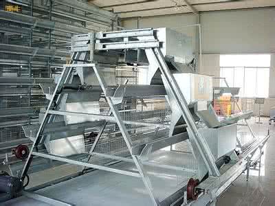 A type broiler farming system