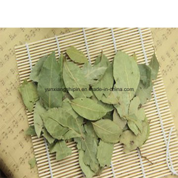 Bay Leaves, Bay Leaves Powder