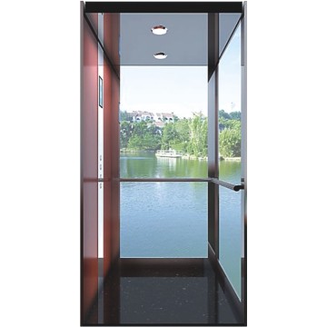 Glass Residential Lift Elevator for Home Manufacturer