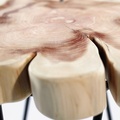 Modern Wood Stool with Metal Legs