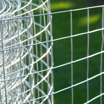 Galvanized Welded Rabbit Cage Wire Mesh