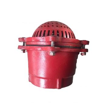 Cast Iron Foot Valve