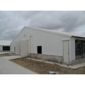 Steel Sheet Chicken House with Complete Automatic Equipments