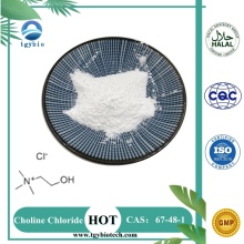 Best Price Top Quality 99% Choline Chloride Powder