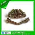 Torx Socket Head Cap Screw with Washer, Sems Screw