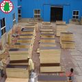 18mm film faced plywood exterior ply for construction