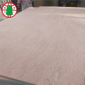 11mm Ash Veneer Fancy Plywood Sheets for sale