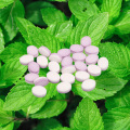 sugar free stevia breath mints