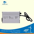 DELIGHT Solar Street Light Lithium Battery Types