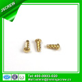 Zinc Plated Steel Micro Screw