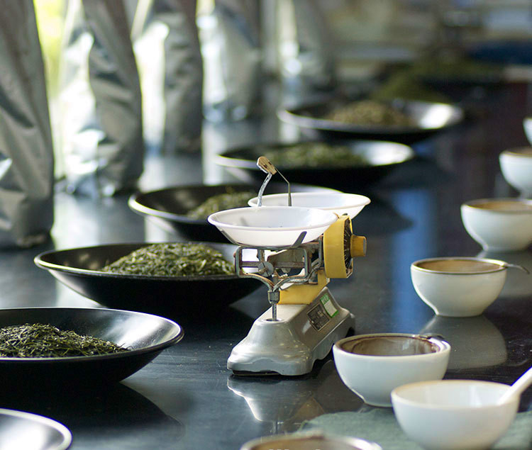 Longjing Tea