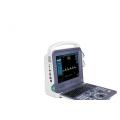 Portable Digital Veterinary Ultrasound Scanner color doppler