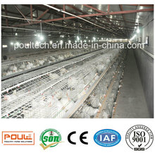 Mejor precio Broiler Farm Cages