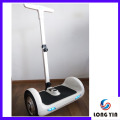 700W 2 Wheel Standing Self Balancing Electric Scooter