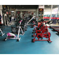 PVC Sports Flooring pour Gym / Gym Flooring / Floor à plusieurs usage