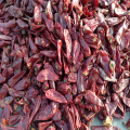 Yidu Chilli for Seasoning and Spices