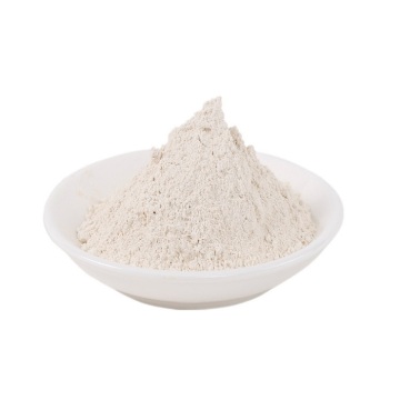 High Quality Sodium Pyrithione Powder Raw material Supply