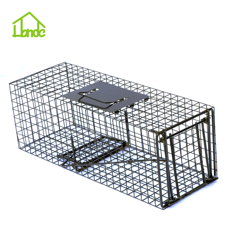 Squirrel Cage Trap