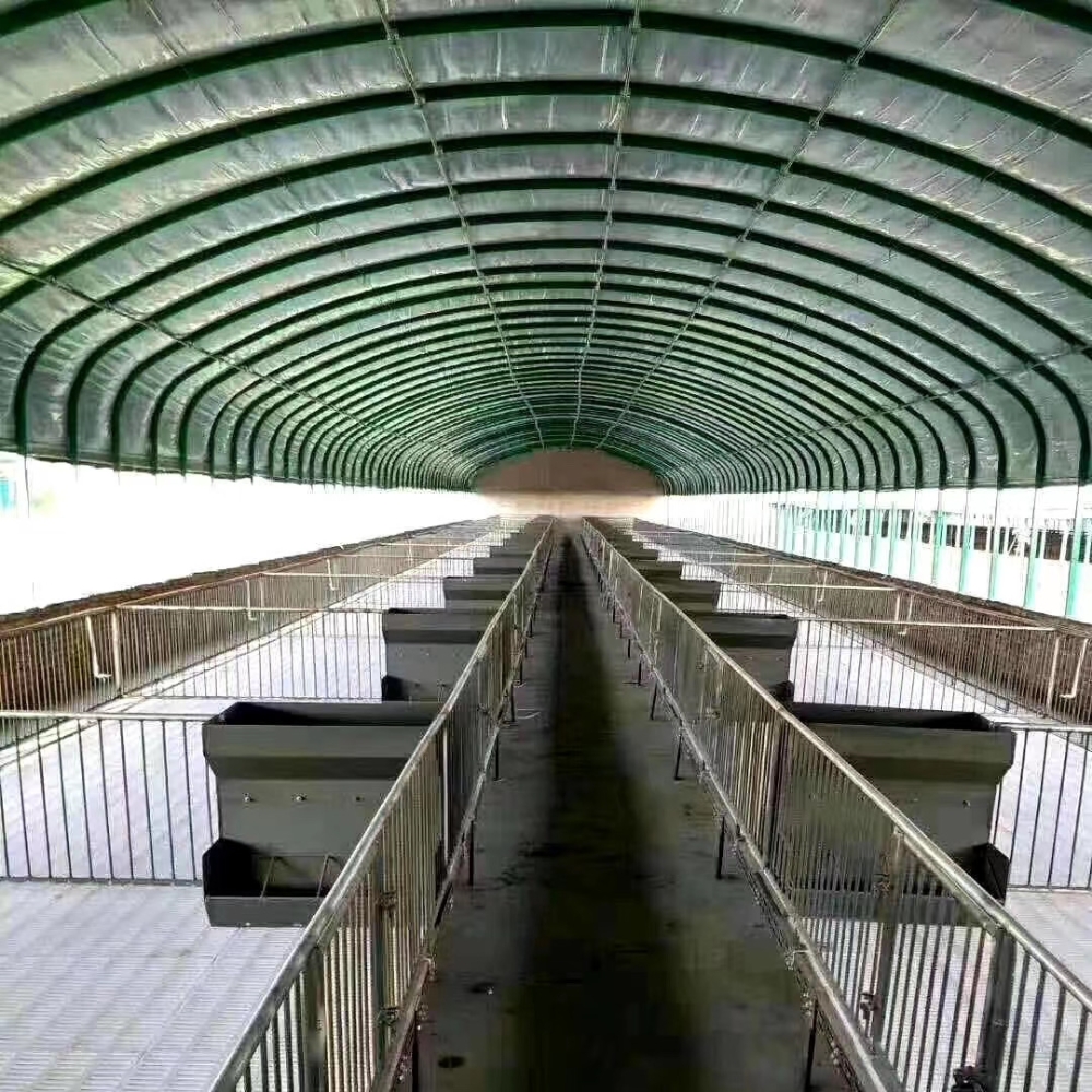 Single Greenhouse For Poultry Breeding Single Greenhouse For Poultry Breeding