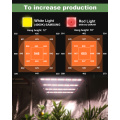 Invernaderos agrícolas LED Grow Light Full Spectrum 240W