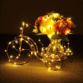 Warm White Color Copper Wire LED String Light