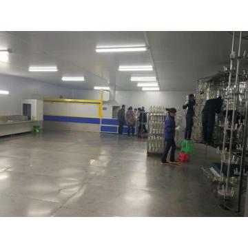 automatic uv spray coating line