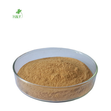 Wholesale Cryptolepis sinensis Extract Powder