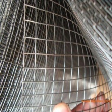 Electro-Galvanized Square Welded Wire Mesh