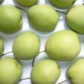 Cor Verde da Nova Colheita de Shandong Pear