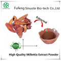 Hochwertiger Millettia -Extrakt -Millettia -Extraktpulver