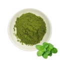 Dry Mint Powder Peppermint Powder