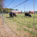 Esgrima de campo de junta de dobradiça