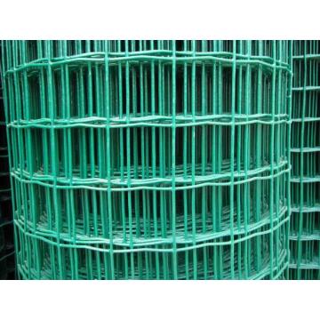 PVC Coated Holland Wire Mesh-PVC-Coated Welded Wire Mesh